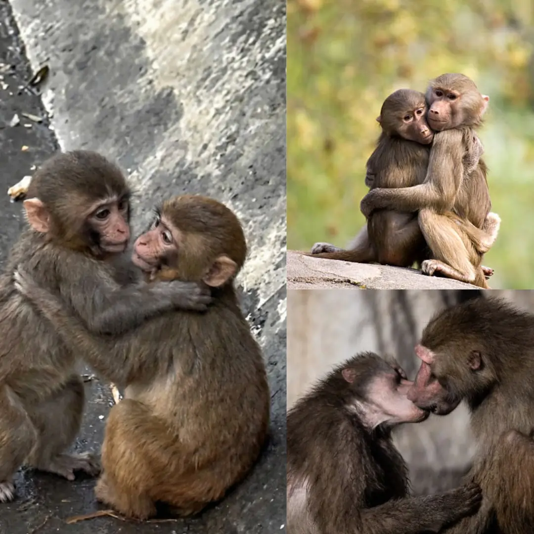 A Beautiful Bond: How Playful Moments Grow Into Lasting Connection