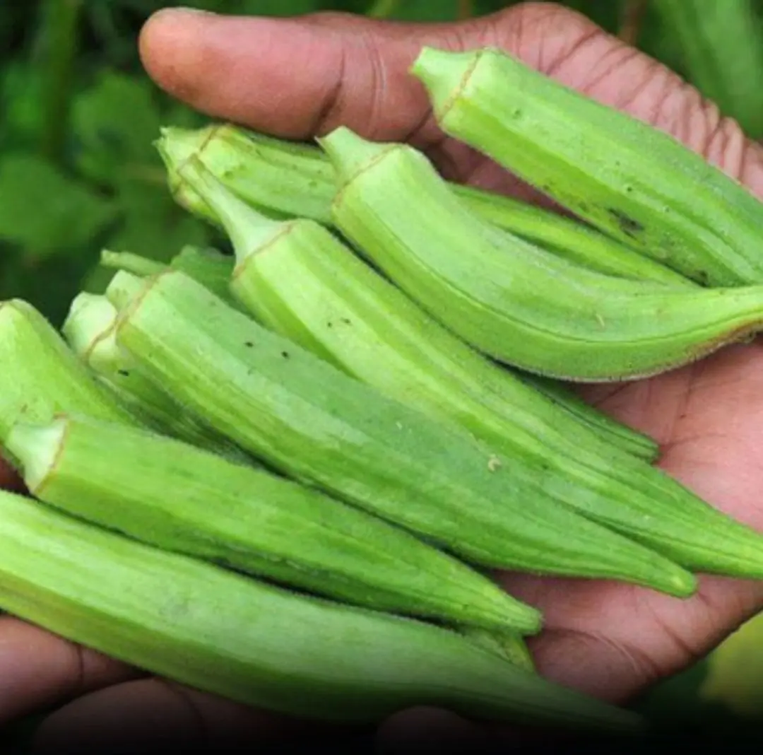 Doctors reveal that eating okra regularly can cause...