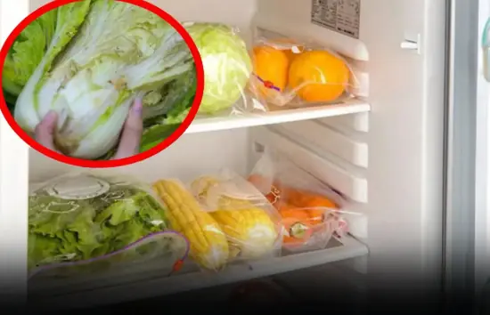 Have you set the temperature correctly?