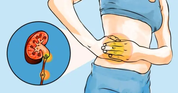 How to recognize early kidney disease signs and protect your kidney health