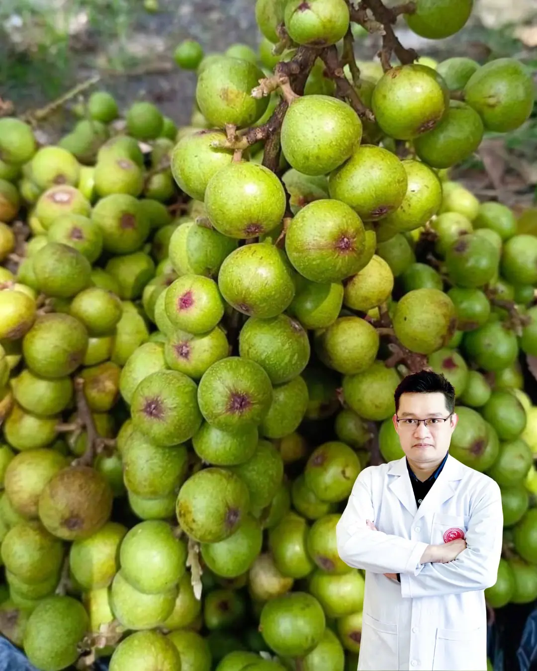 Four Powerful Fruits That Support Your Body in Unexpected Ways—And They’re Surprisingly Easy to Find