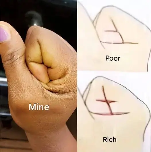 The Lines on Your Hand May Say More Than You Think