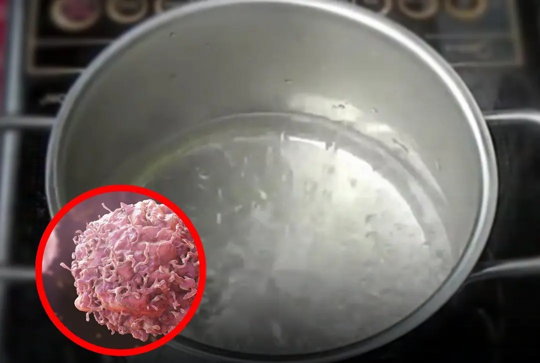 One person boils water wrong — the whole family at risk? 3 hidden boiling habits to avoid