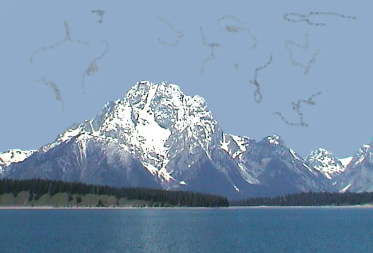 Eye Floaters Explained: What They Are and What an Eye Doctor Recommends