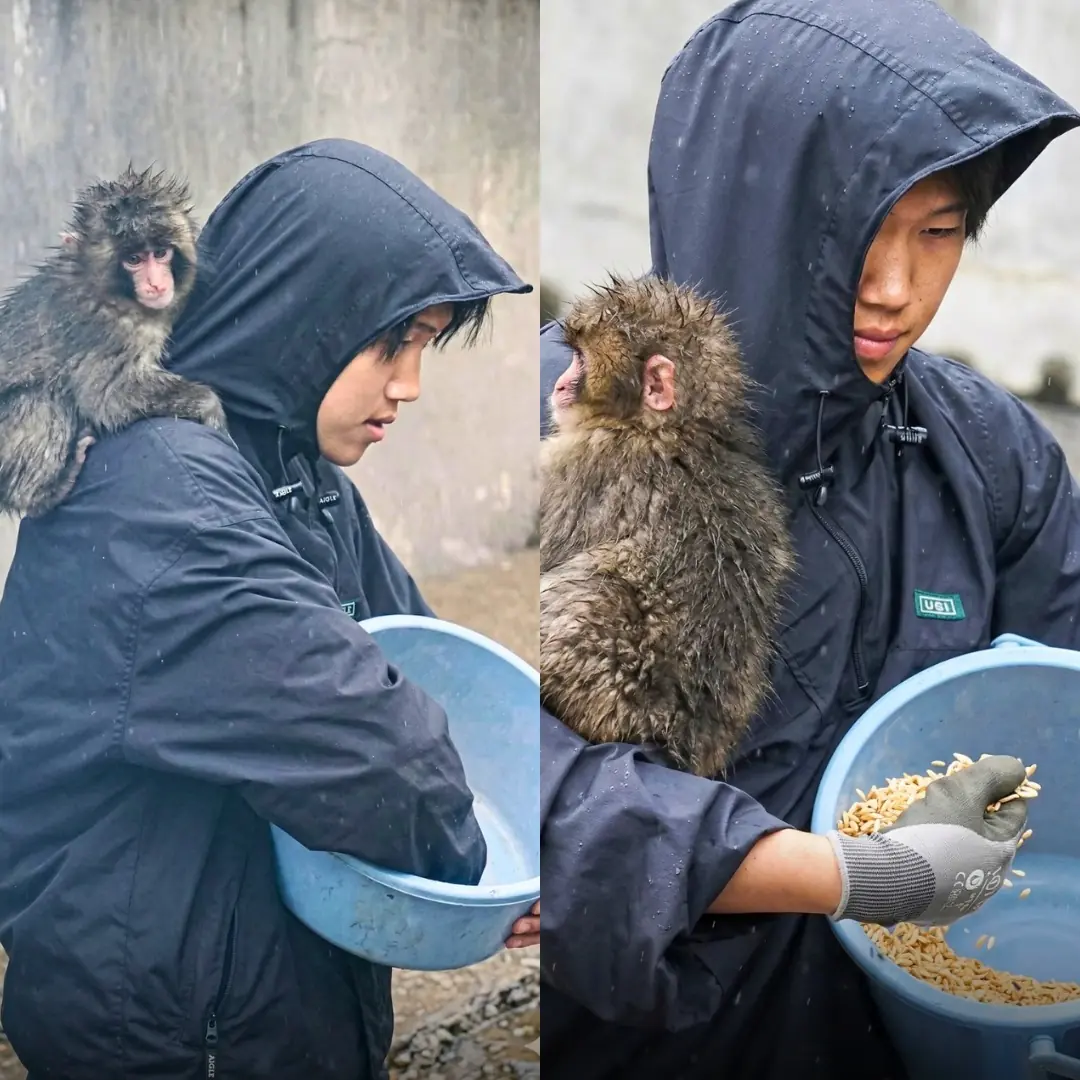 Little Punchy’s World: A Journey From Fear to Home