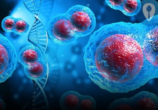 7 Anti-Can:cer Foods That K.ill Cancer The Moment You Start Eating Them