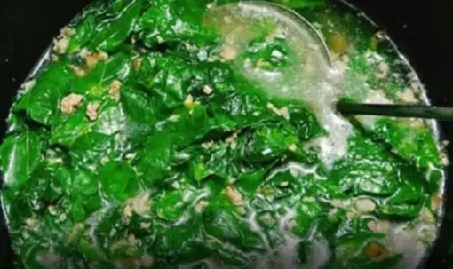 3 Calcium-Rich Vegetables for Strong Bones and Glowing Skin