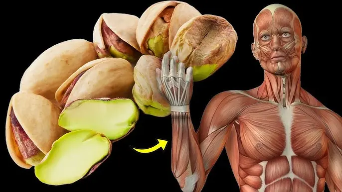 Here’s What Happens to Your Body if You Eat Pistachios Every Day