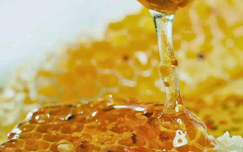 Who should be cautious when consuming honey?