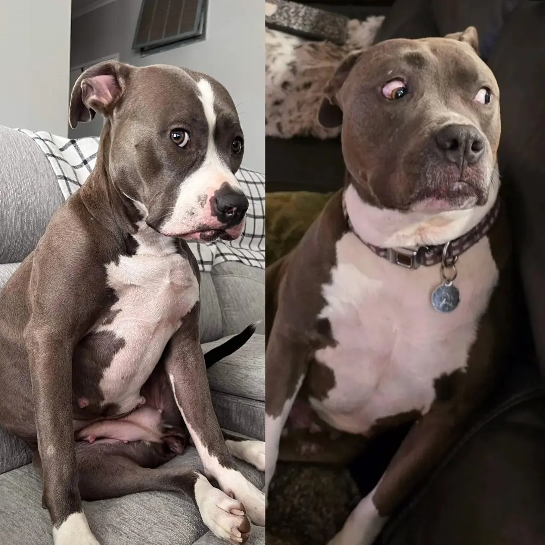 Luna Was Sent Back for One Reason — She Loved Too Much