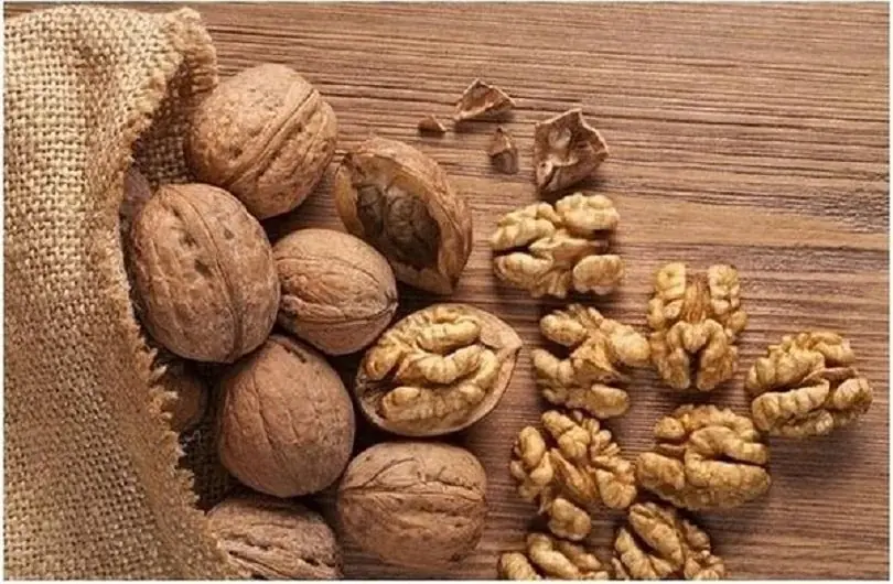 Doctors Discuss the Effects of Eating Walnuts on Your Body