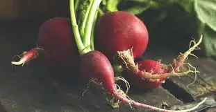 5 Foods You Should Never Eat with Radish — Avoid These at All Costs!