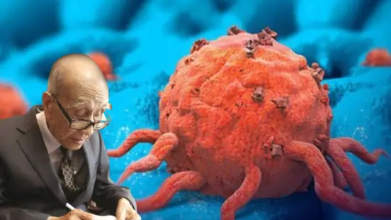 7 foods that kill cancer cells