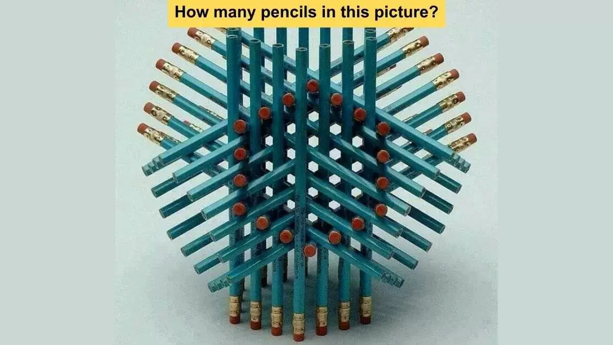 Viral IQ Puzzle Challenges the Internet: Can You Count All the Pencils in Just 10 Seconds?