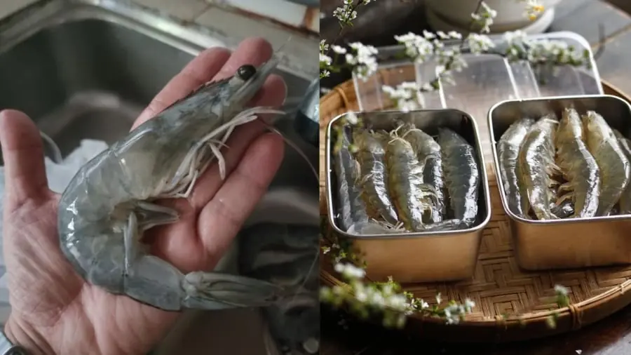 This Simple Kitchen Trick Keeps Shrimp Fresh and Firm for Weeks — Most People Don’t Know It