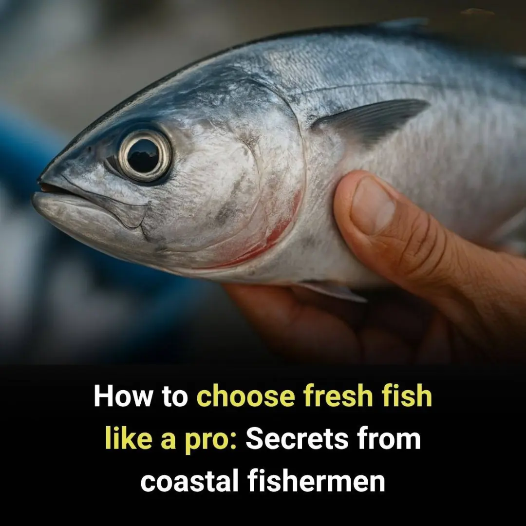 How to Choose Fresh Fish Like a Pro: Secrets from Coastal Fishermen