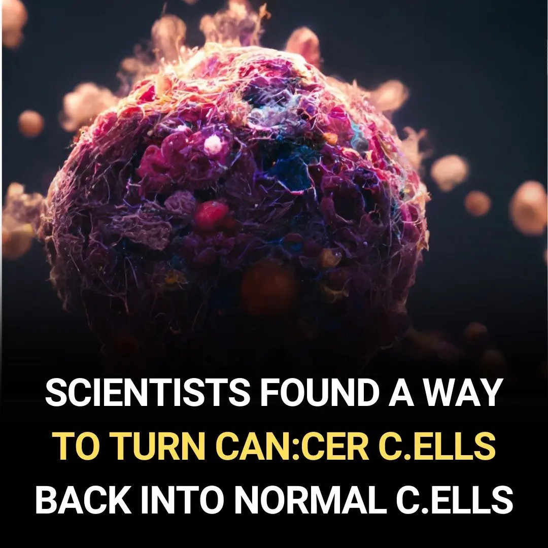 New technology converts can.cer cells into normal cells