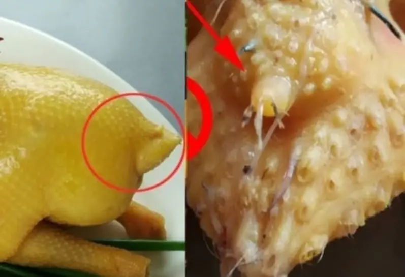 Many People Still Enjoy Eating These 4 Chicken Parts — But Here’s What You Should Know