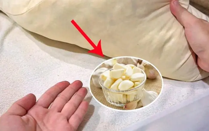 Why is garlic sometimes placed at the head of the bed during sleep?