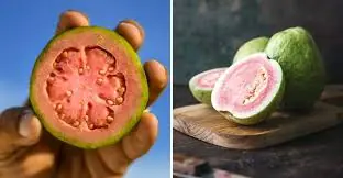 Eating Guava Every Day: Here’s What Doctors Say