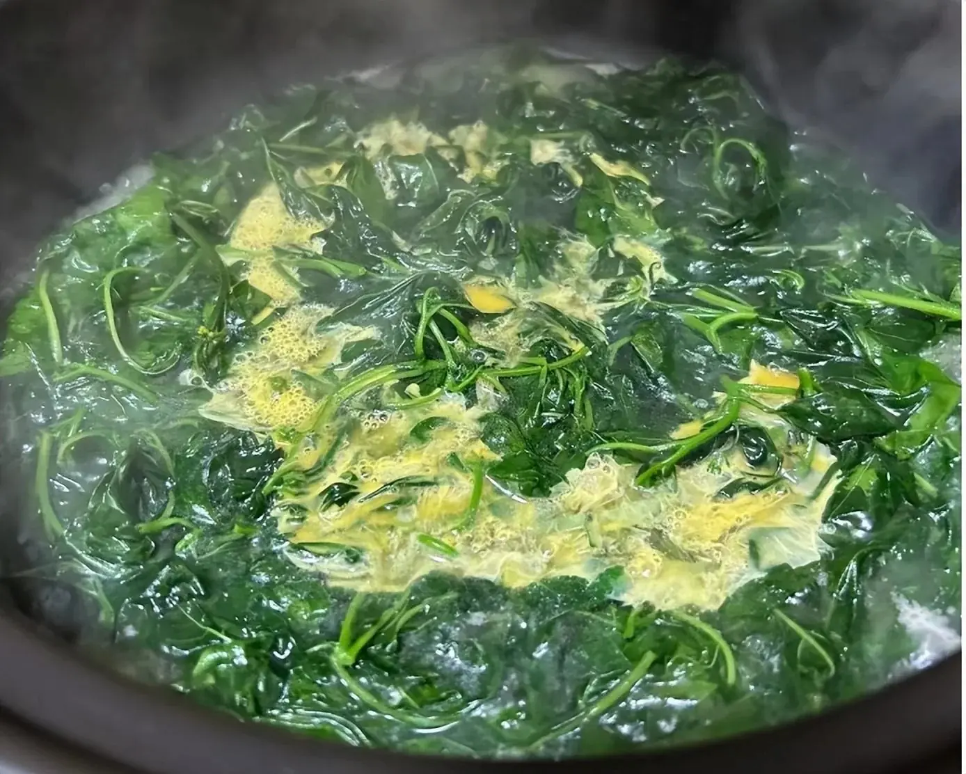 A Wild Vegetable Growing Everywhere Is Compared to a ‘Weapon’ Against Can.cer and Diabetes — Sadly, Few People Know to Eat It