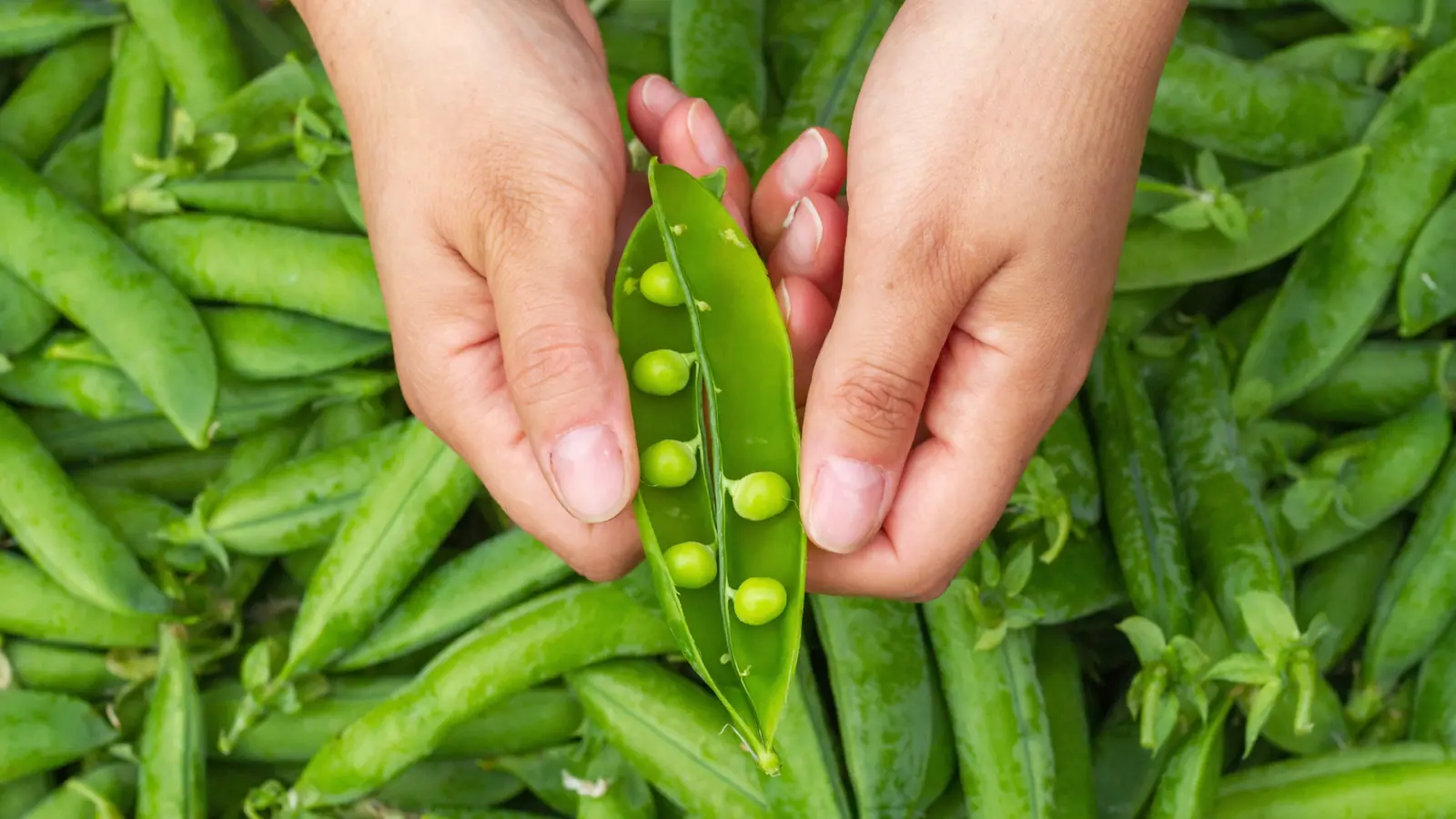 This Is What Happens to Your Body When You Eat Peas Daily