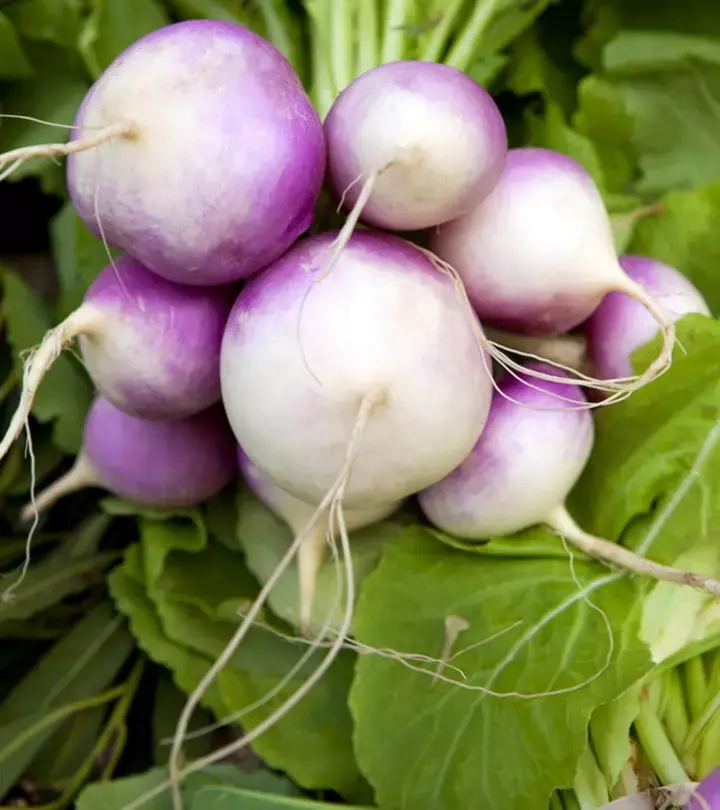 From Your Gut to Your Heart: What Turnips Do to Your Body