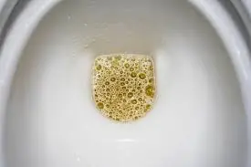 Foamy Urine Isn’t Just a Weird Habit — Here’s What’s Happening Inside Your Body