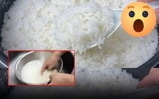 Stop Cooking Rice with Just Water — Try This Hotel Secret