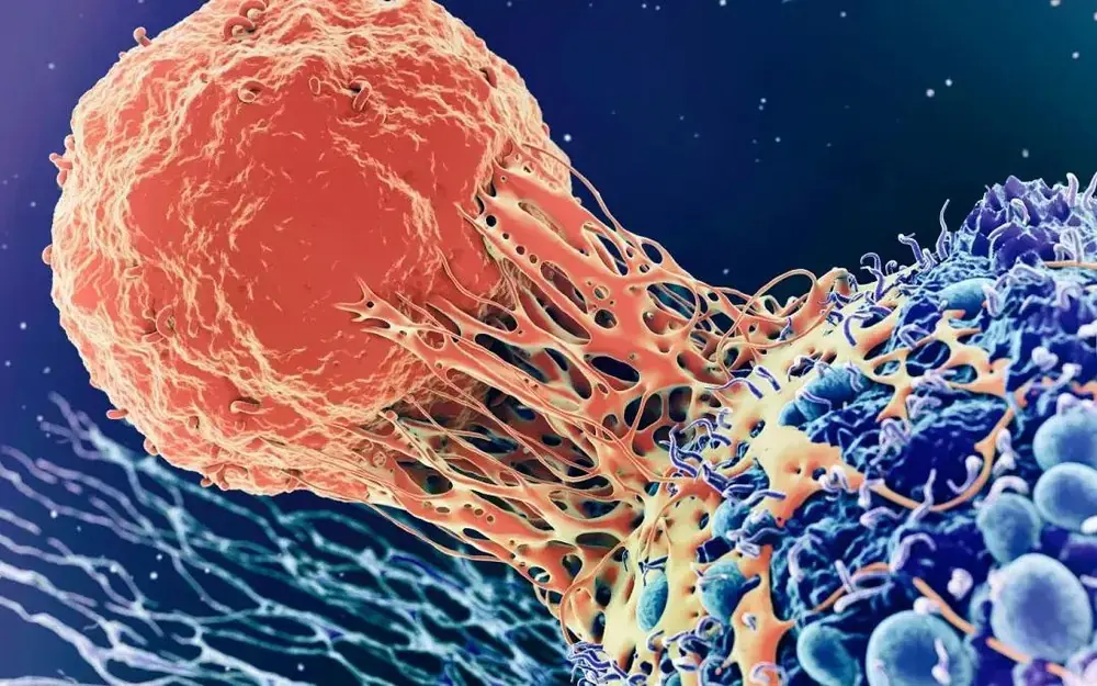 Pharmacist Warns: 3 Morning Symptoms That Could Indicate Cancer