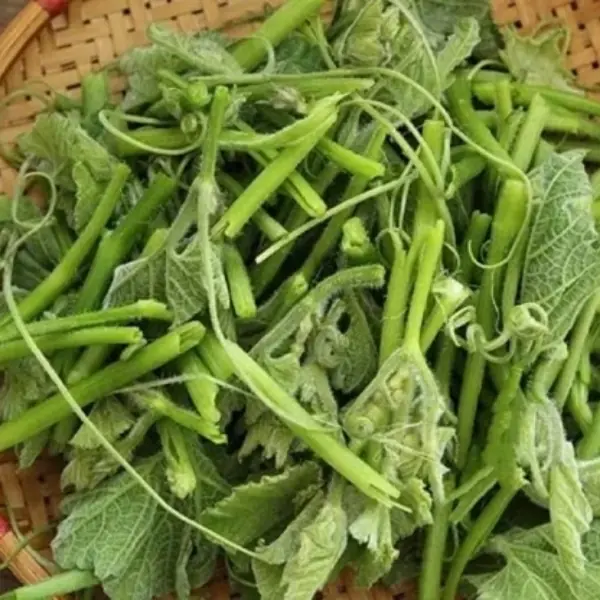 These 3 vegetables have a high risk of causing ca.n.cer. Know early to avoid them and tell your loved ones!