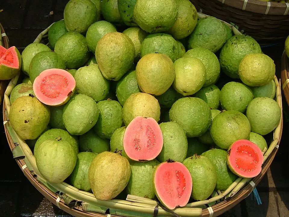 Guava Recipes for Balanced Blo.od Sugar and Stronger Hair: Natural Remedies That Actually Work