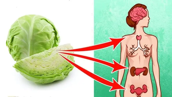 Eat Cabbage Every Day — Here’s What Happens to Your Body