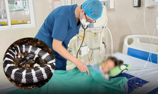 Terrifying: Snake Crawls Out of AC, 7-Year-Old Left in Critical Condition