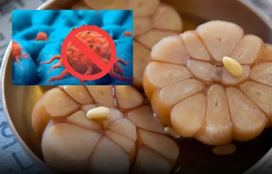 9 Foods That May Help Support Your Body Against Cancer