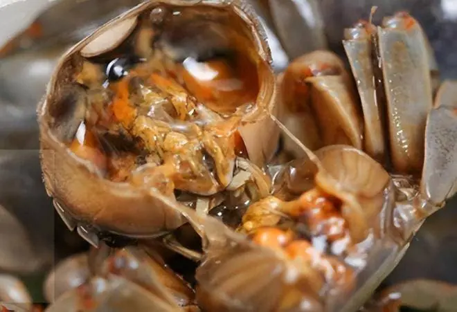 You Might Be Eating These 4 Parasite-Risk Foods Without Knowing