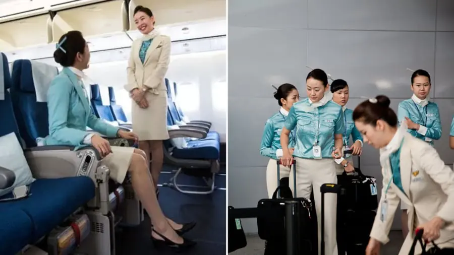 Why Flight Attendants Don’t Go Home After Landing — And Stay Overnight in 5-Star Hotels