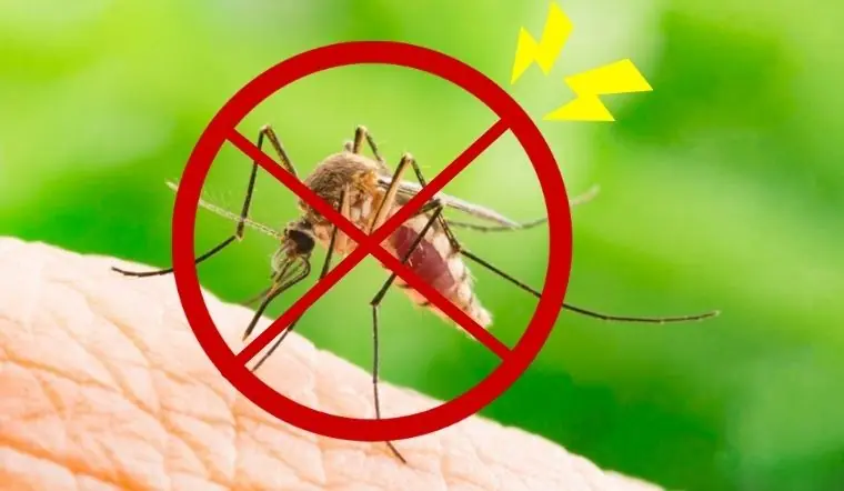 Keep mosquitoes away the natural way with these easy home remedies