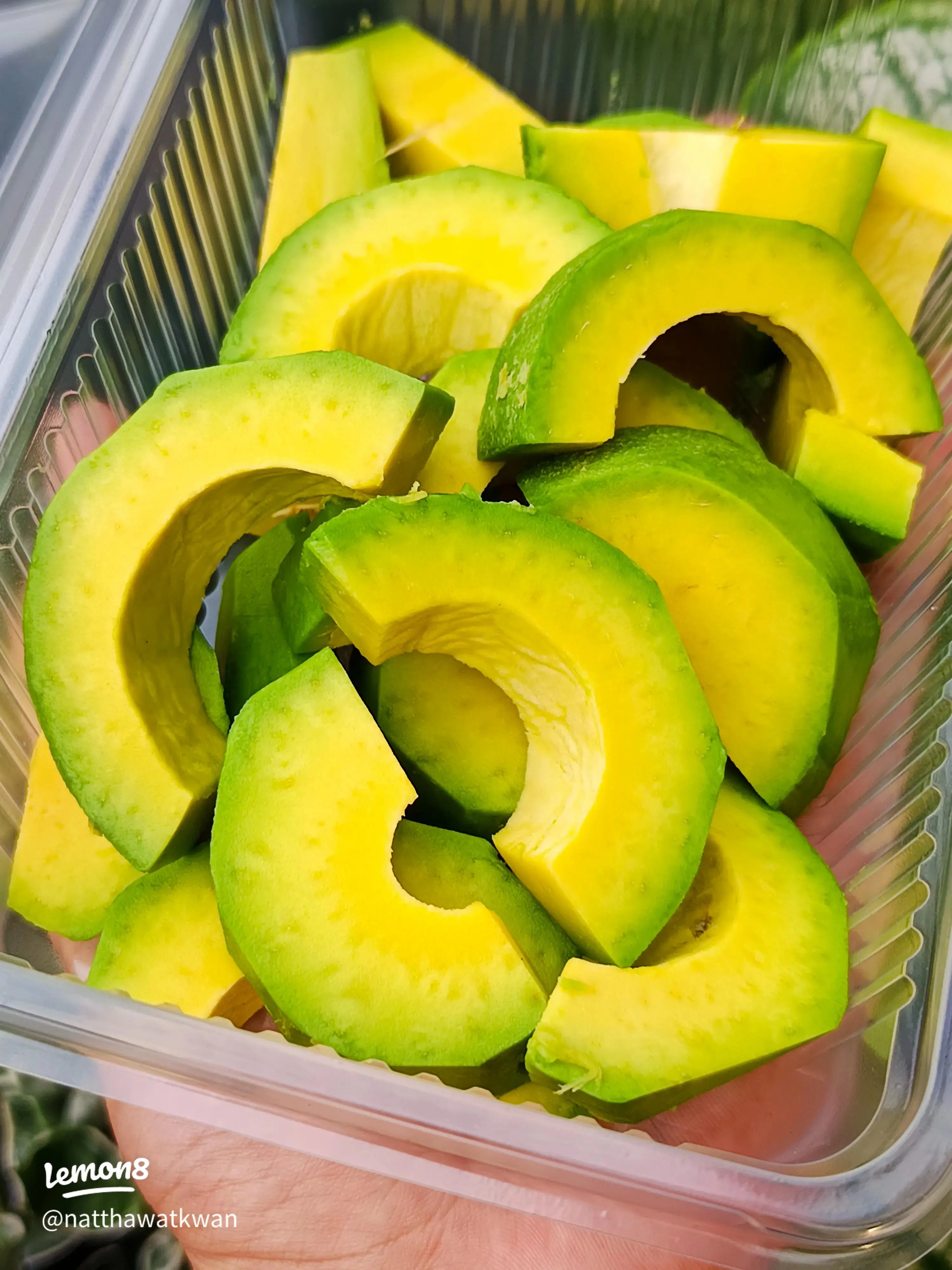 Here’s What Happens When You Add Avocado to Your Daily Diet, According to Doctors
