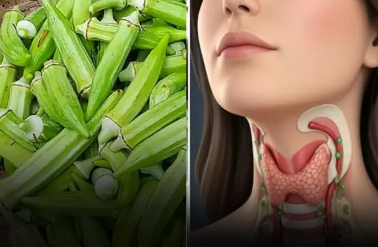 Okra Looks Healthy, But It May Be Off-Limits for These 3 Groups of People