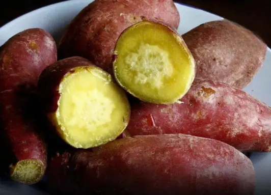Don’t Eat Sweet Potatoes Until You Know These 13 Important Facts!