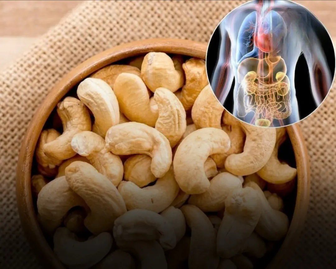 Cashews Are More Than a Snack — Here’s What Happens When You Eat Them Every Day