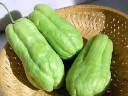 10 Ways Chayote Squash Supports Your Body According to Research
