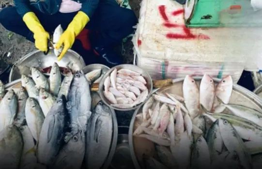 5 Types of Fish High in Mercury