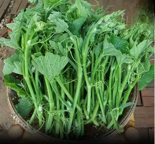 Do These 3 Vegetables Really Increase Cancer Risk? What Science Actually Says