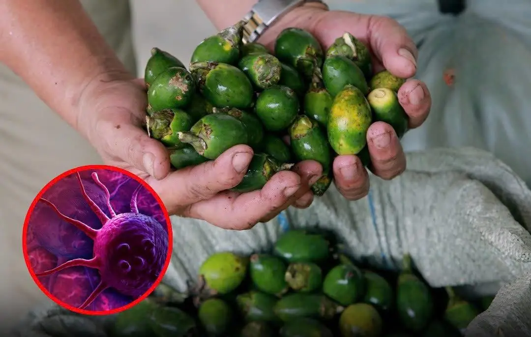 You might be eating these every day — and not know the dang:ers