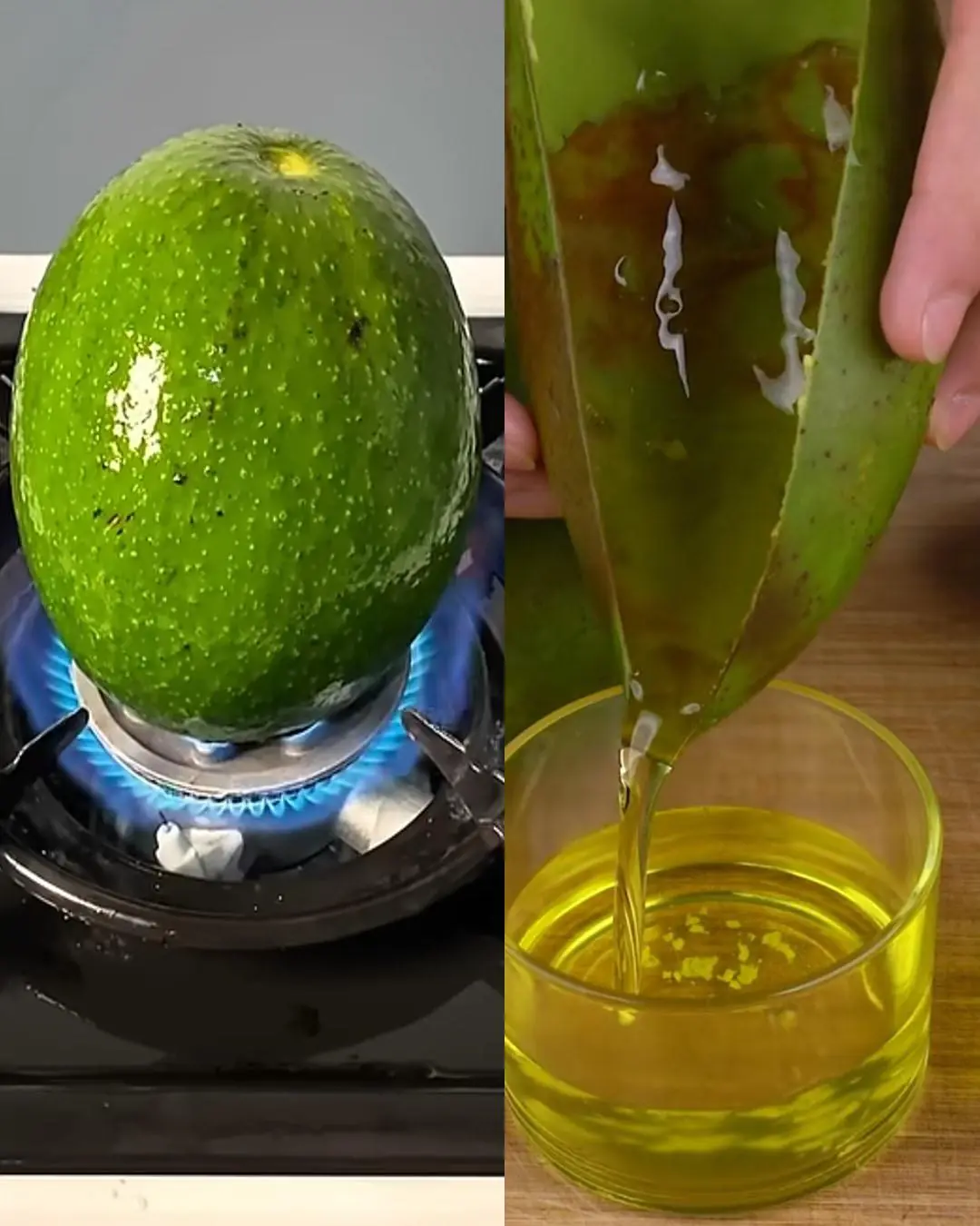 Don’t toss your damaged avocados — turn them into nourishing oil on a budget!