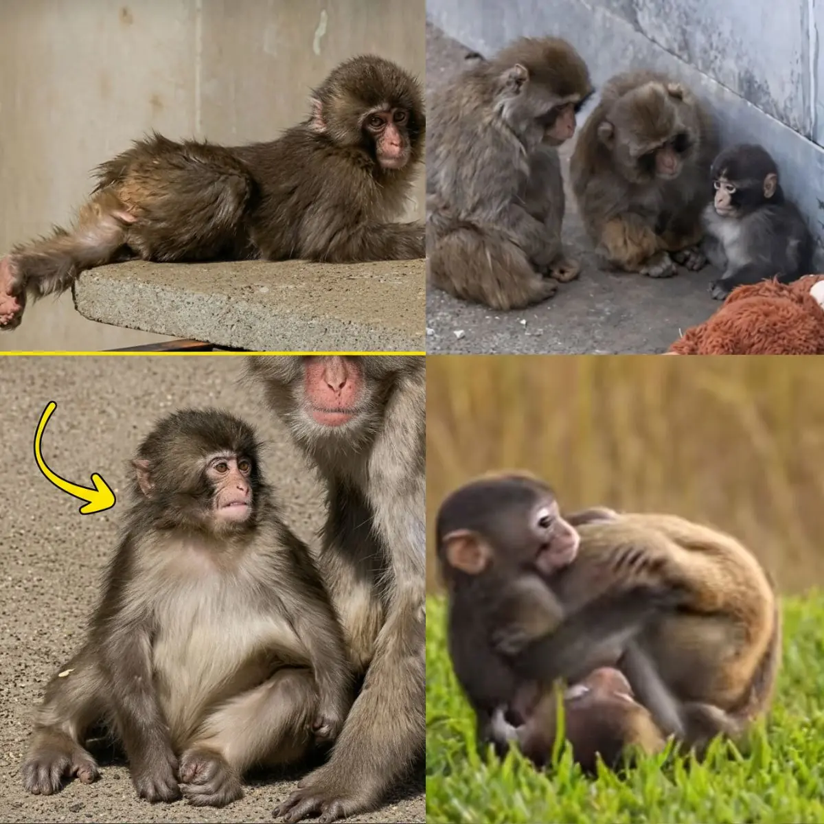 Why Being Real Beats Being Consistent Every Time