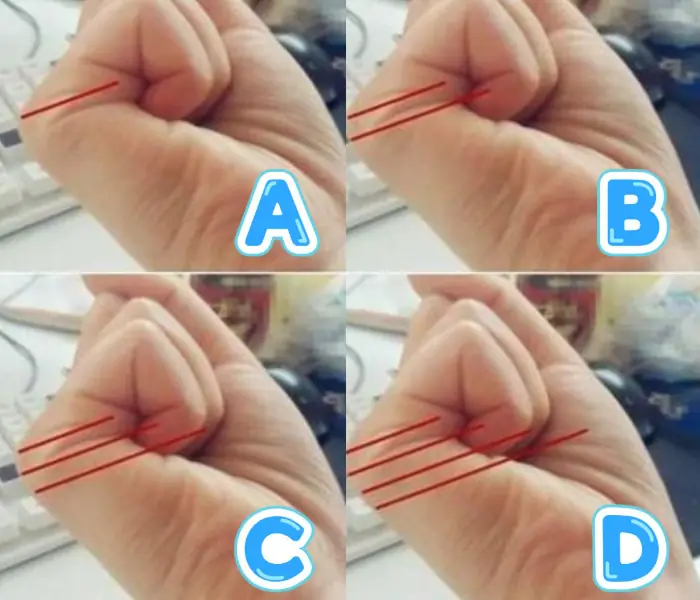 Make a fist and check your palm lines - see what they might say about your life
