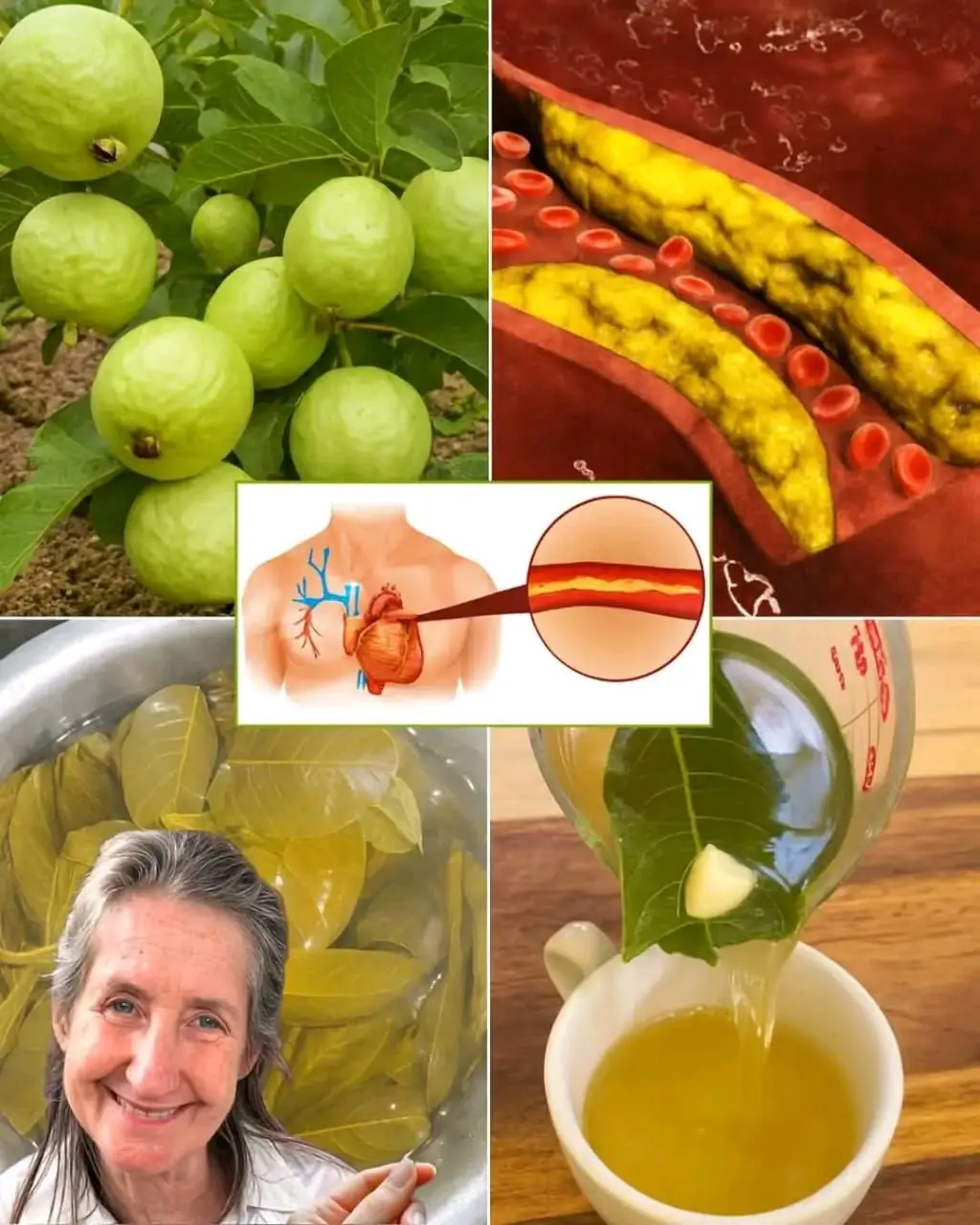 A Natural Herbal Tea Blend Featuring Garlic, Turmeric, Ginger, Onion, Cinnamon, and Guava Leaf